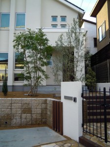 DSCN4880