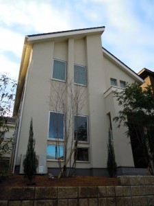 DSCN4882