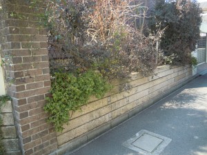 DSCN0657