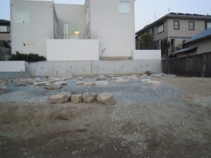DSCN0733