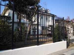 DSCN5266