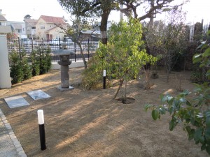 DSCN5281