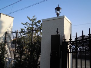 DSCN5283