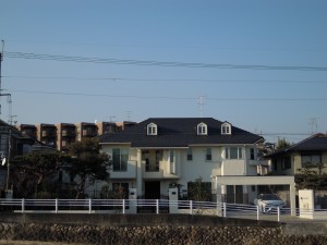 DSCN5285