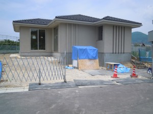 DSCN8206