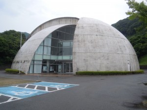 DSCN8484