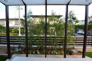 シラカシ・灌木ハーブ