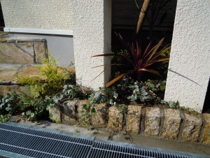 DSCN4522