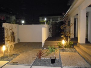 DSCN2971