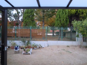 DSCN7683