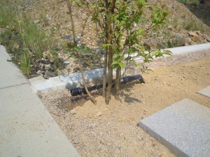DSCN2819