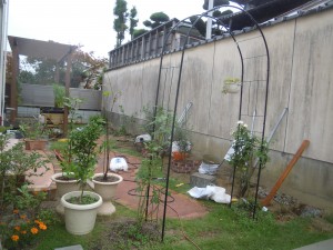 DSCN7130