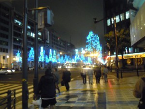 DSCN8804