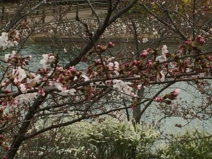 IMG_6919