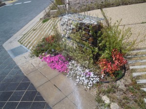 DSCN2076