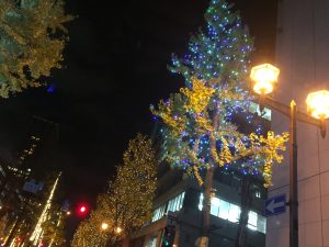 img_9177