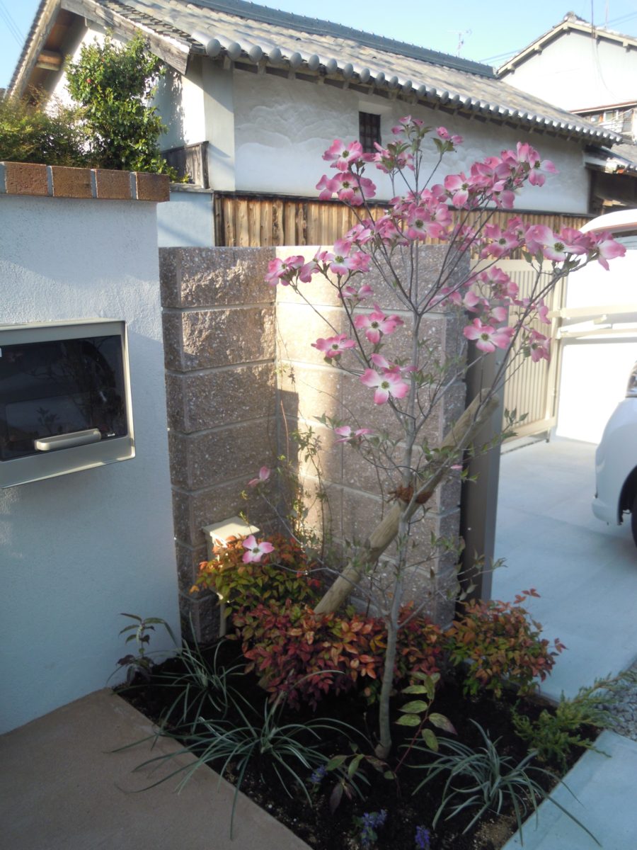 ハナミズキ　ピンク　玄関の植栽　シンボルツリー
ZERO  3WAY アッパー スポット　ライト　施工例