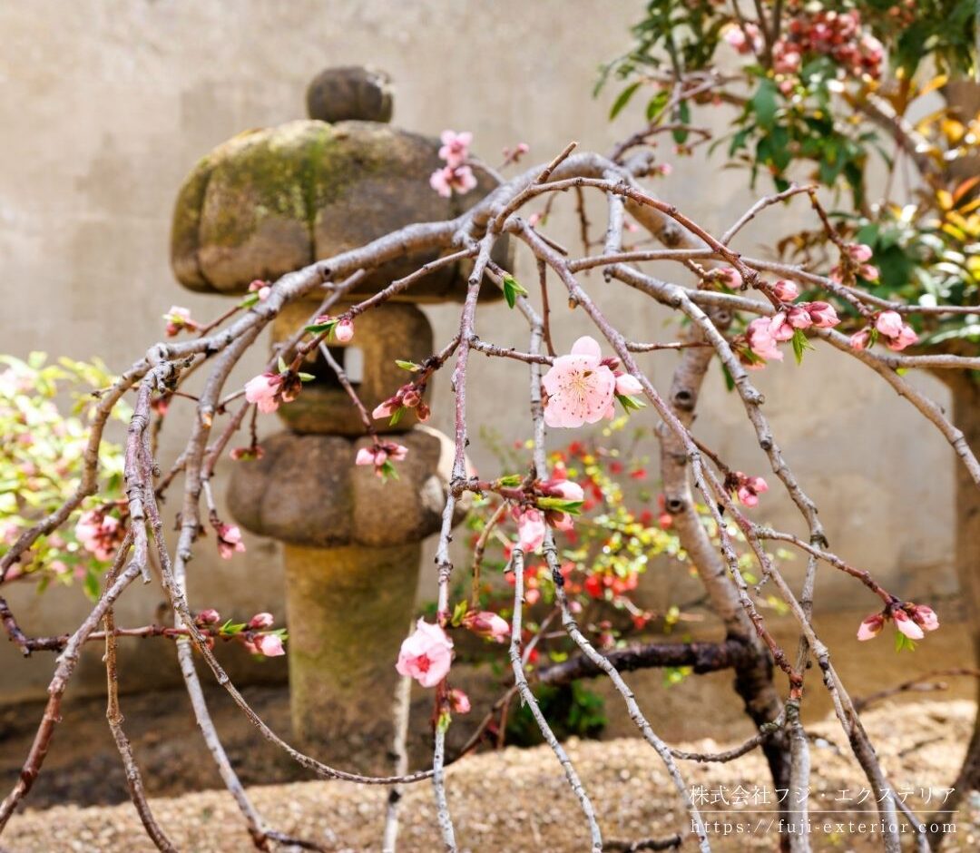 石燈篭のある和風の庭