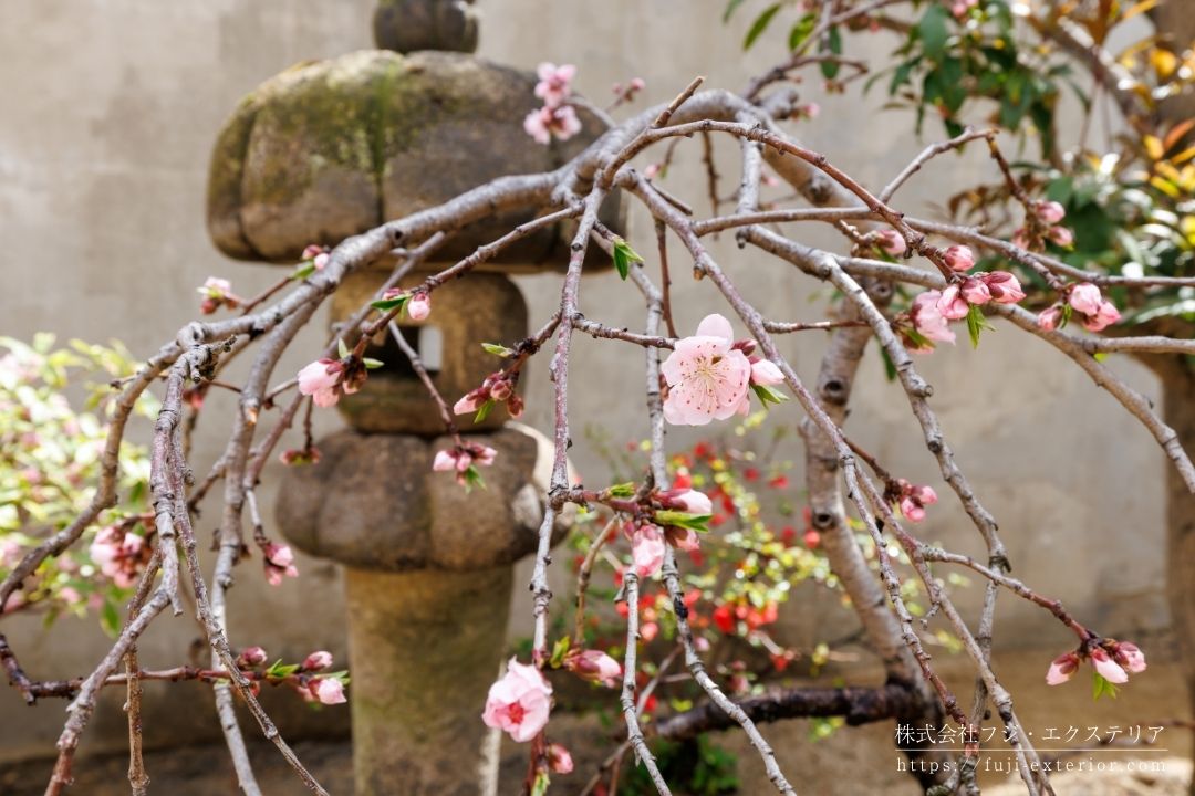 石燈篭のある和風の庭