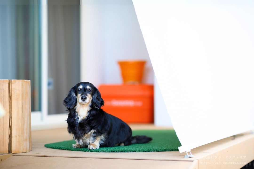 人工芝の余りで作ったワンちゃんマット。ウッドデッキの上で気持ちよさそうに涼んでいます。