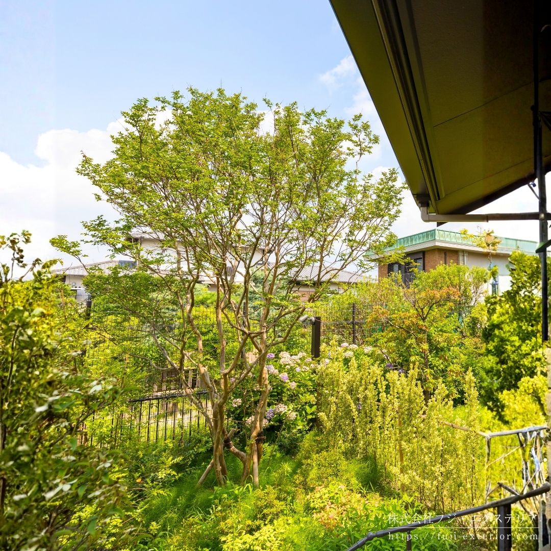 アプローチのメインツリーには5mのサルスベリの株立を植えました。