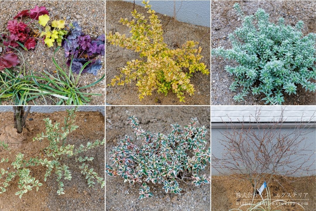 ヒューケラやプリペットなど多彩な植栽を取り入れた北摂の庭づくり