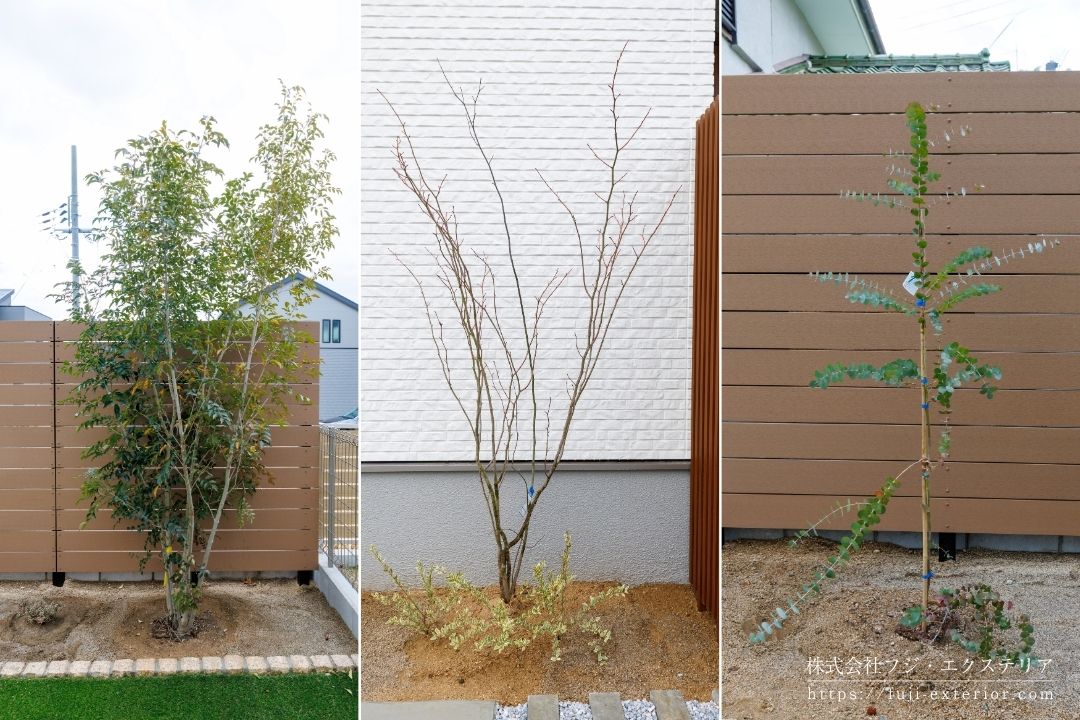 シマトネリコやマルバノキを植えたナチュラルガーデン。西宮市や宝塚市でも人気の植栽を取り入れた外構デザイン